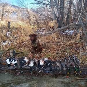 Meet your Posher, Christian